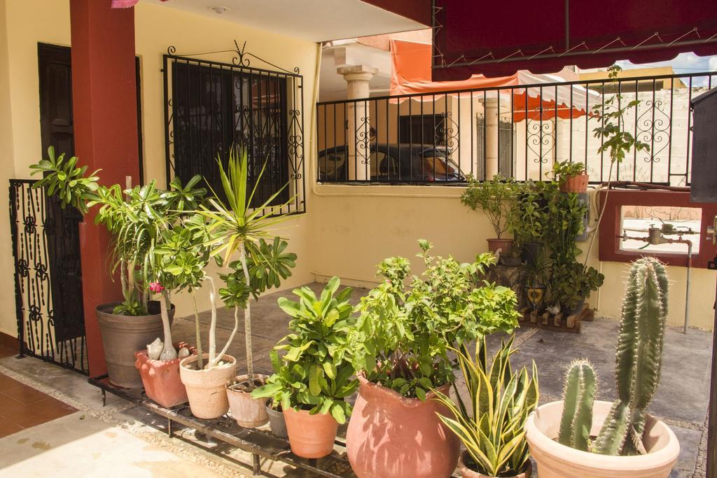 La Casa Del Chac Villa Mérida Eksteriør billede