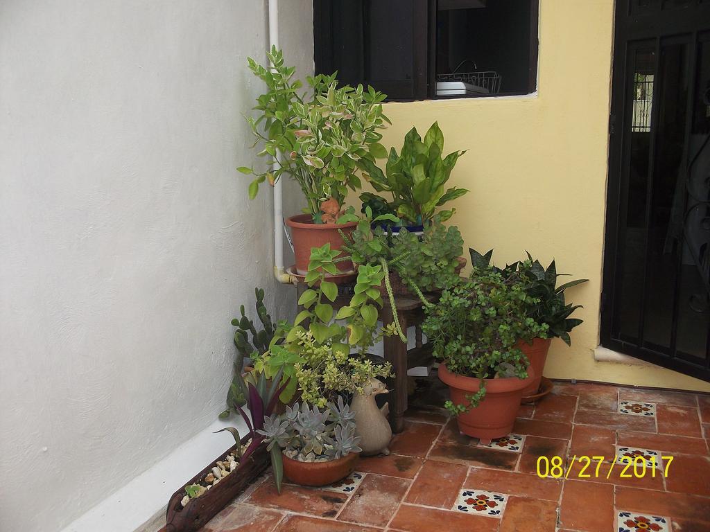 La Casa Del Chac Villa Mérida Eksteriør billede